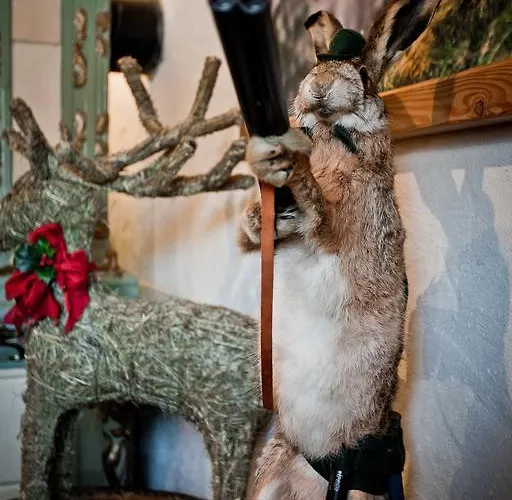 Bambi Nocleg ze śniadaniem Zakopane